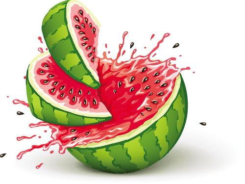 小孩多人吃瓜,众童共享瓜果乐