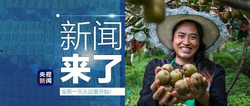 成功轨迹吃瓜,吃瓜群众也能学会的逆袭之道