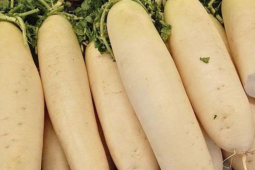 结节可以吃白瓜吗,白瓜可否食用？