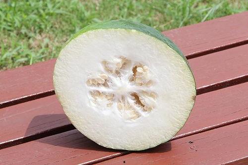 结节可以吃白瓜吗,白瓜可否食用？