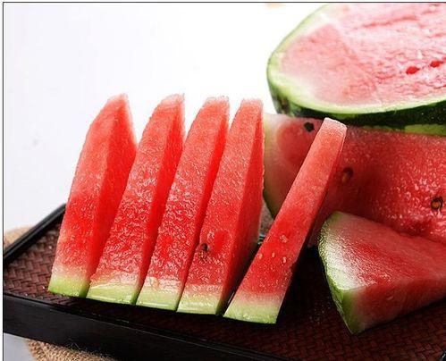 吃瓜小同学,小同学生活百态