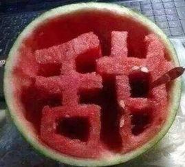 带你吃瓜奇葩茄子,带你探索茄子界的“吃瓜”奇观