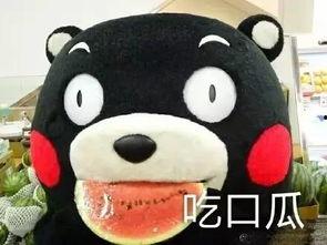 吃瓜听梗,揭秘网络热梗背后的趣味与智慧