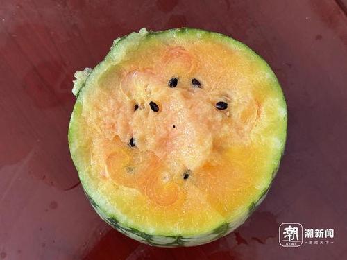 村里的吃瓜,揭秘村里吃瓜背后的故事