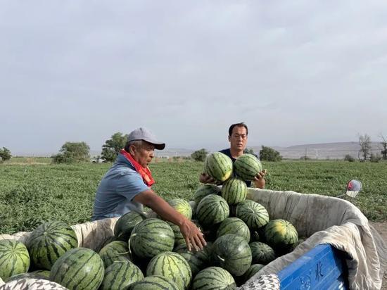 宁晋吃瓜最新,揭秘当地热门事件背后的真相与笑料