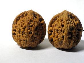 文玩核桃吃瓜,品味生活新风尚