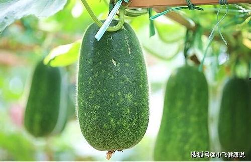 月经吃鲜瓜,健康养生两不误