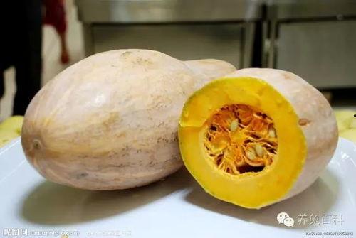 吃角瓜有毒吗,有毒还是美味佳肴？