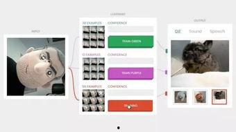 吃瓜群众人工智能实验,揭秘虚拟世界的“围观”现象