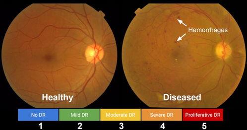 吃瓜群众人工智能实验,揭秘虚拟世界的“围观”现象
