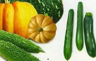 微醺吃瓜,一场轻松愉快的吃瓜之旅