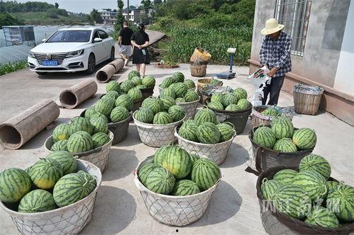 尚北吃瓜,揭秘娱乐圈背后的那些事儿