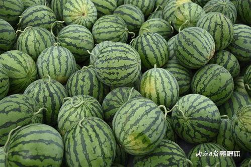 尚北吃瓜,揭秘娱乐圈背后的那些事儿