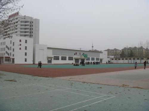 吃瓜潍坊科技,揭秘科技圈的那些新鲜事儿