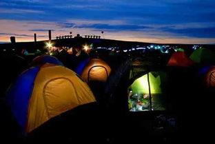 露营地吃瓜大赛,露营地瓜果飘香，吃瓜大赛欢乐无限