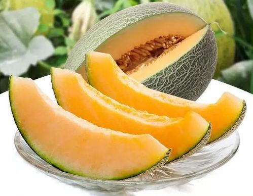 瓜州明吃,探寻丝绸之路上的美食传奇